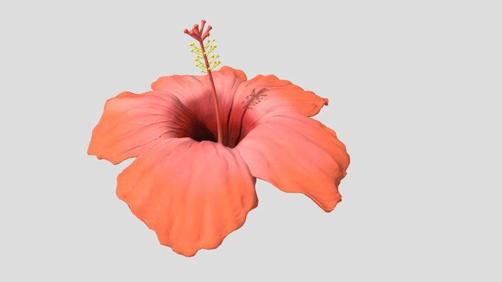 FLOWER modeling 3D Model