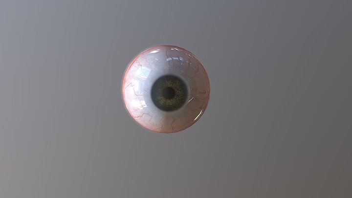 Eyes 3D Model