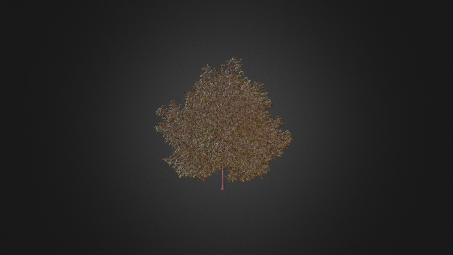 3D model Small-leaved Lime 3 (Tilia cordata) - This is a 3D model of the Small-leaved Lime 3 (Tilia cordata). The 3D model is about shape.