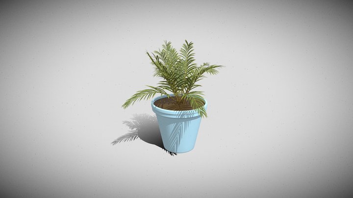 Cycas Leaves 3D Model