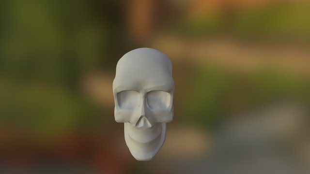 Skull 3D Model