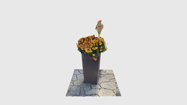 Autmn orange Chrysanthemum in high pot 3D Model