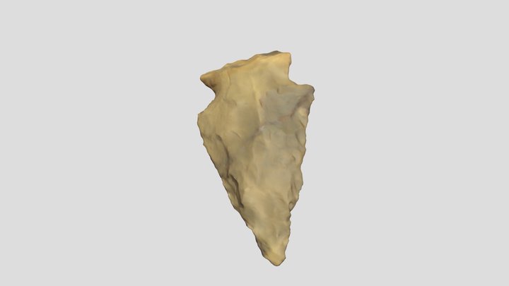 SMArrowhead 3D Model