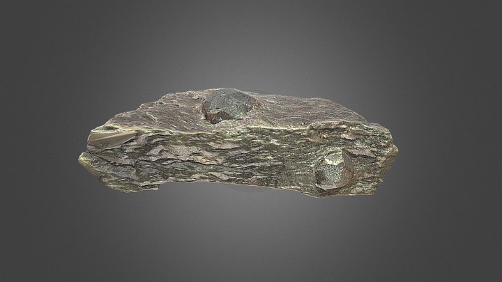 Garnet Crystals In Schist – Gratis 3D-model STL