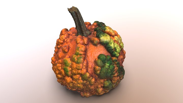 Pumpkin with Warts 3D Model