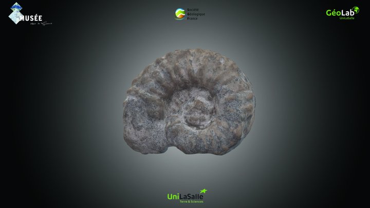 Ammonite - Schloenbachia sp. – Kostenloses 3D-Modell STL