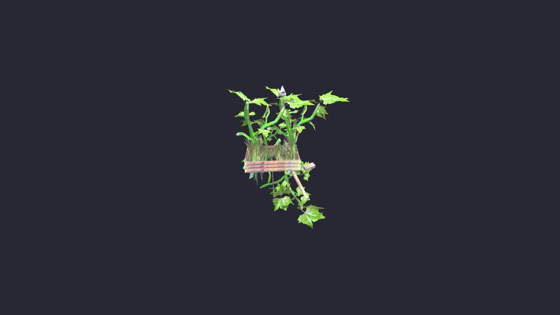 bird box garden