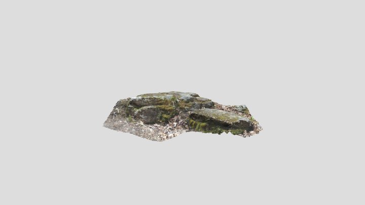 Rock2 3D Model