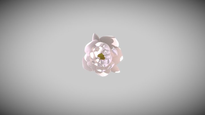 Lotus Flower Blooming Animation 3D Model