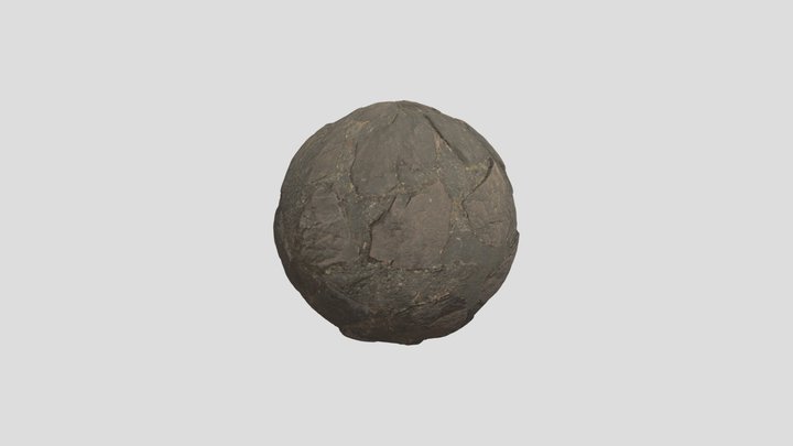 Rock texture road 3D Model