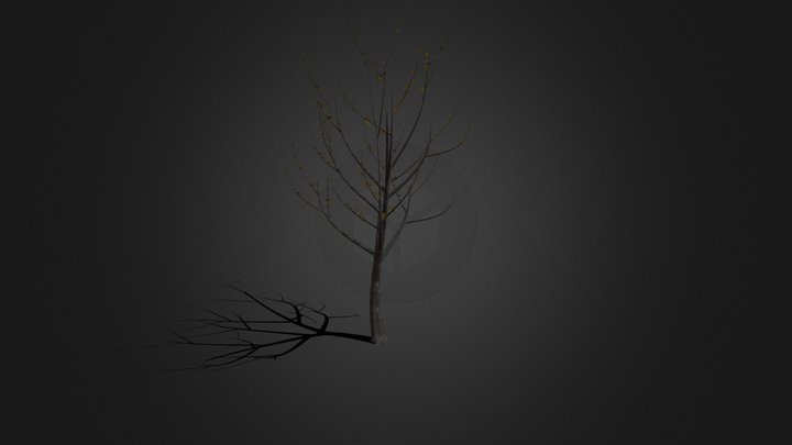 autumn tree 02 3D Model