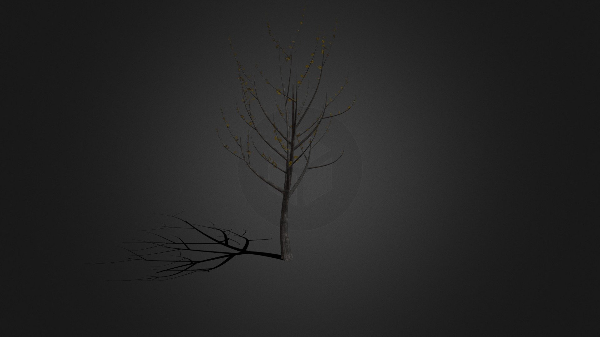 autumn tree 02