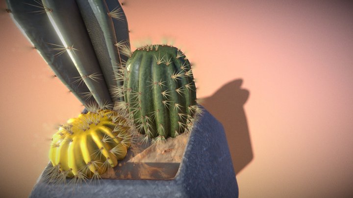 Low Poly Plant Challenge - Entry 2 3D Model