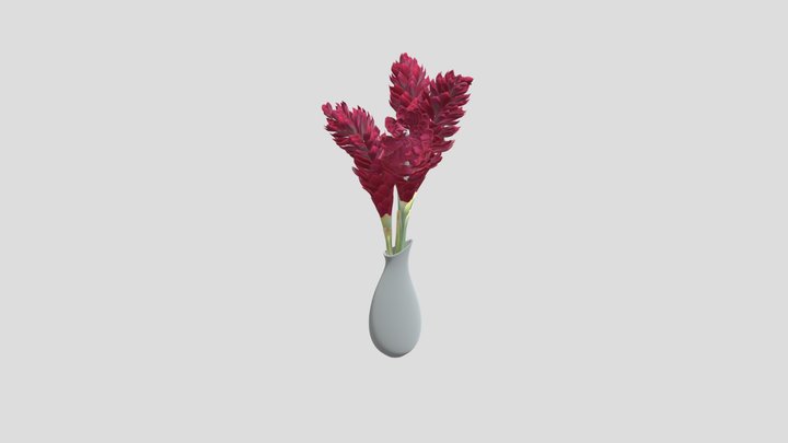 Opuhi Vase