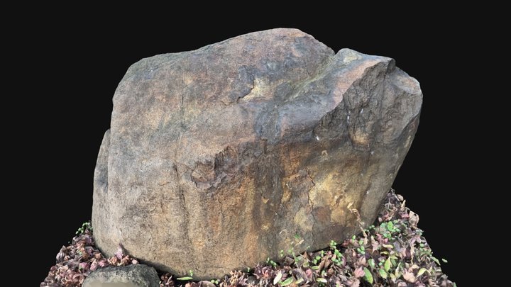 Dried-up River Rock 3D Model