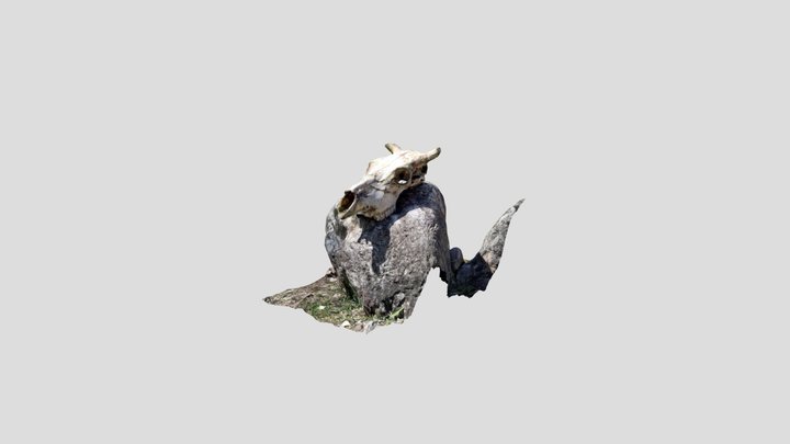 Skull 3D Model