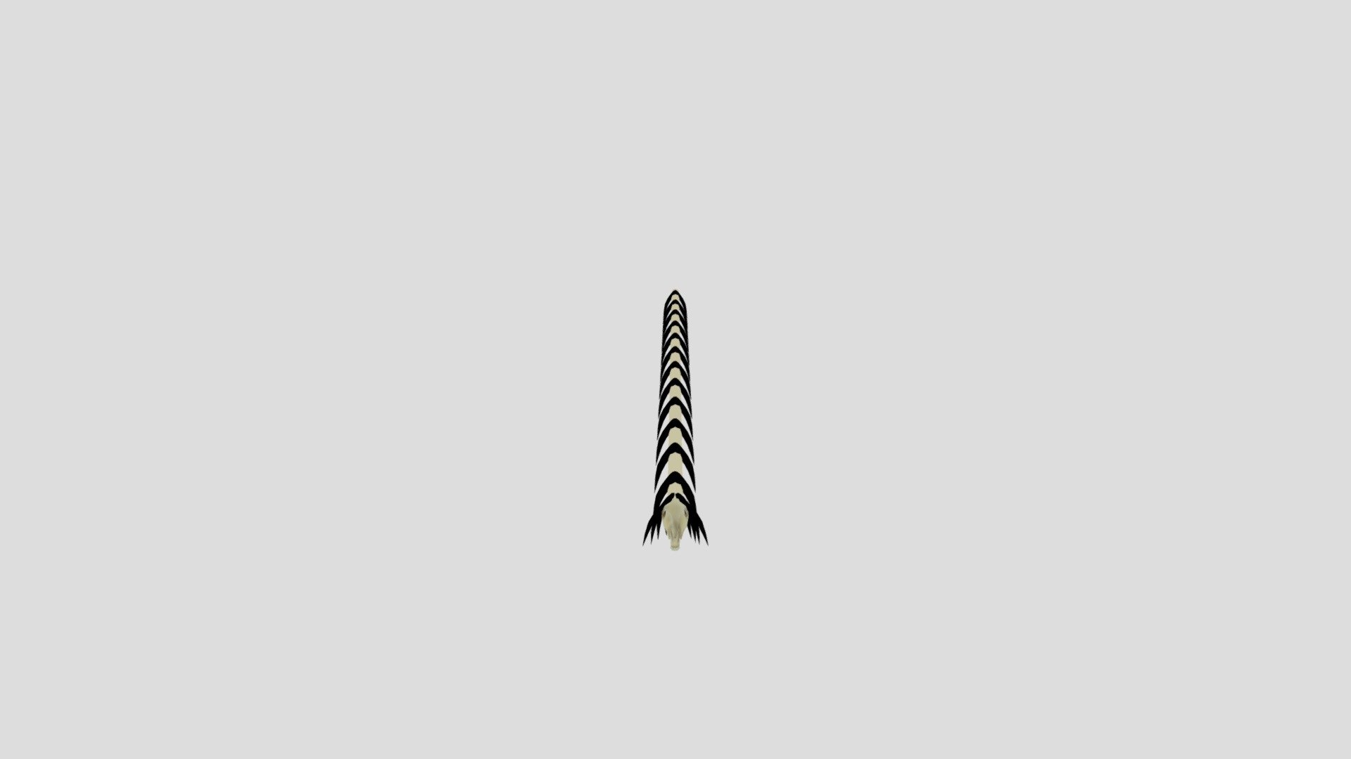 Long Horse