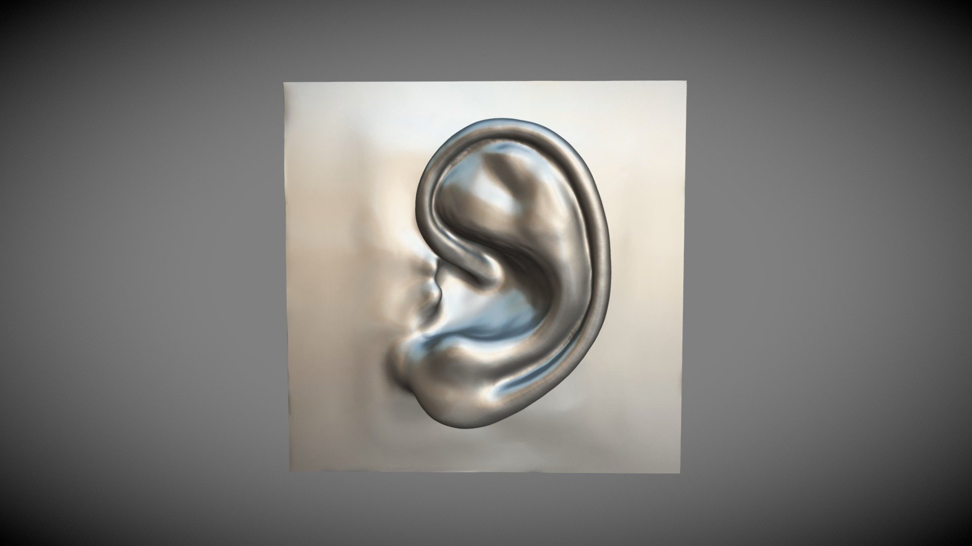 Ear 3D Modeling - 3D model by dugiahung176 [7729d2d] - Sketchfab