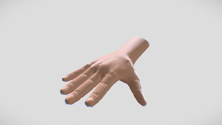 Hand 2022 3D Model