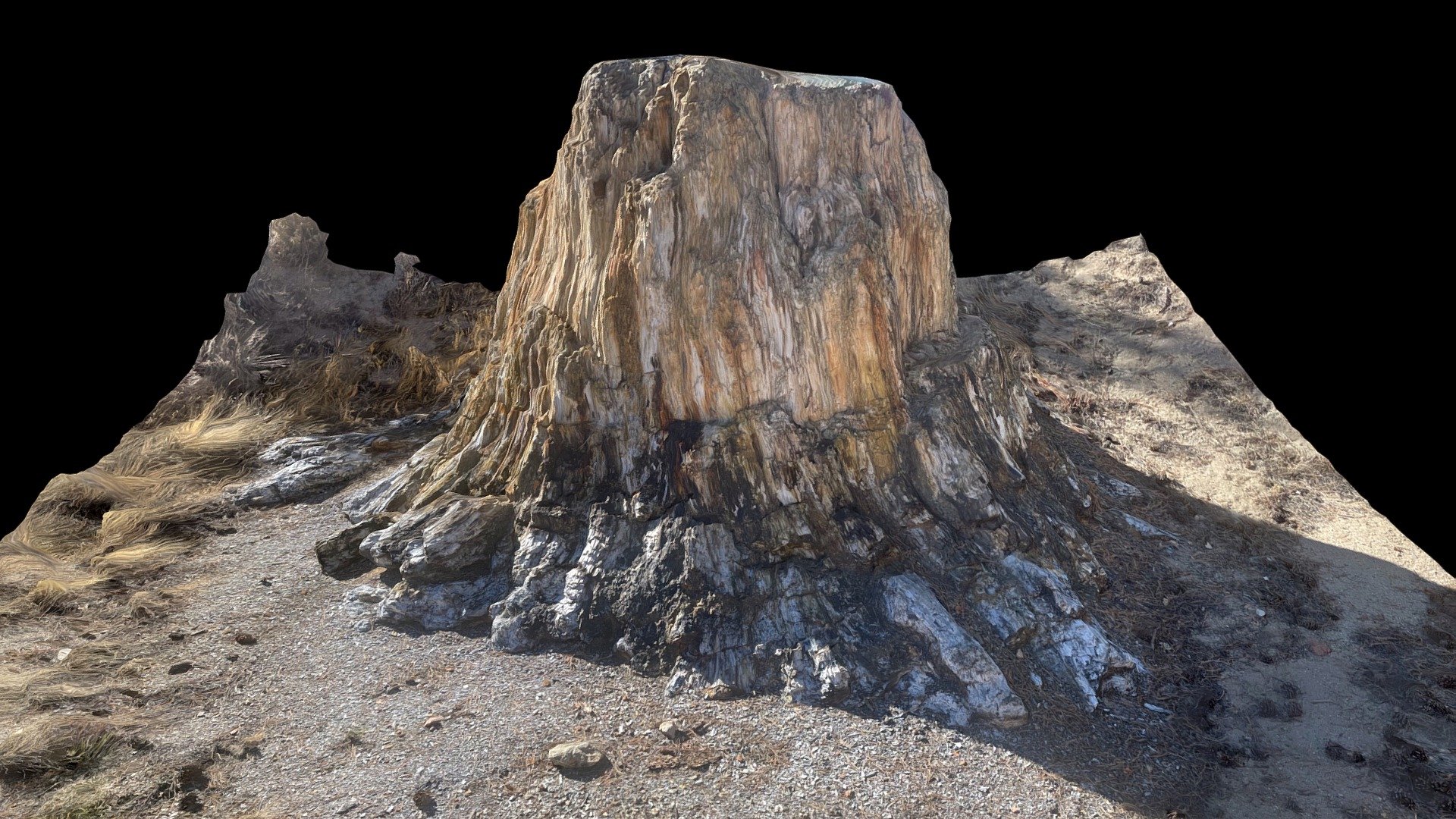 Big Stump - Florissant Fossil Beds (Day 3/365) — Sketchfab embed 3D viewer