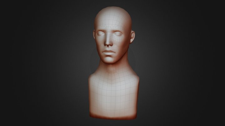 Man Menequin Head 3D Model