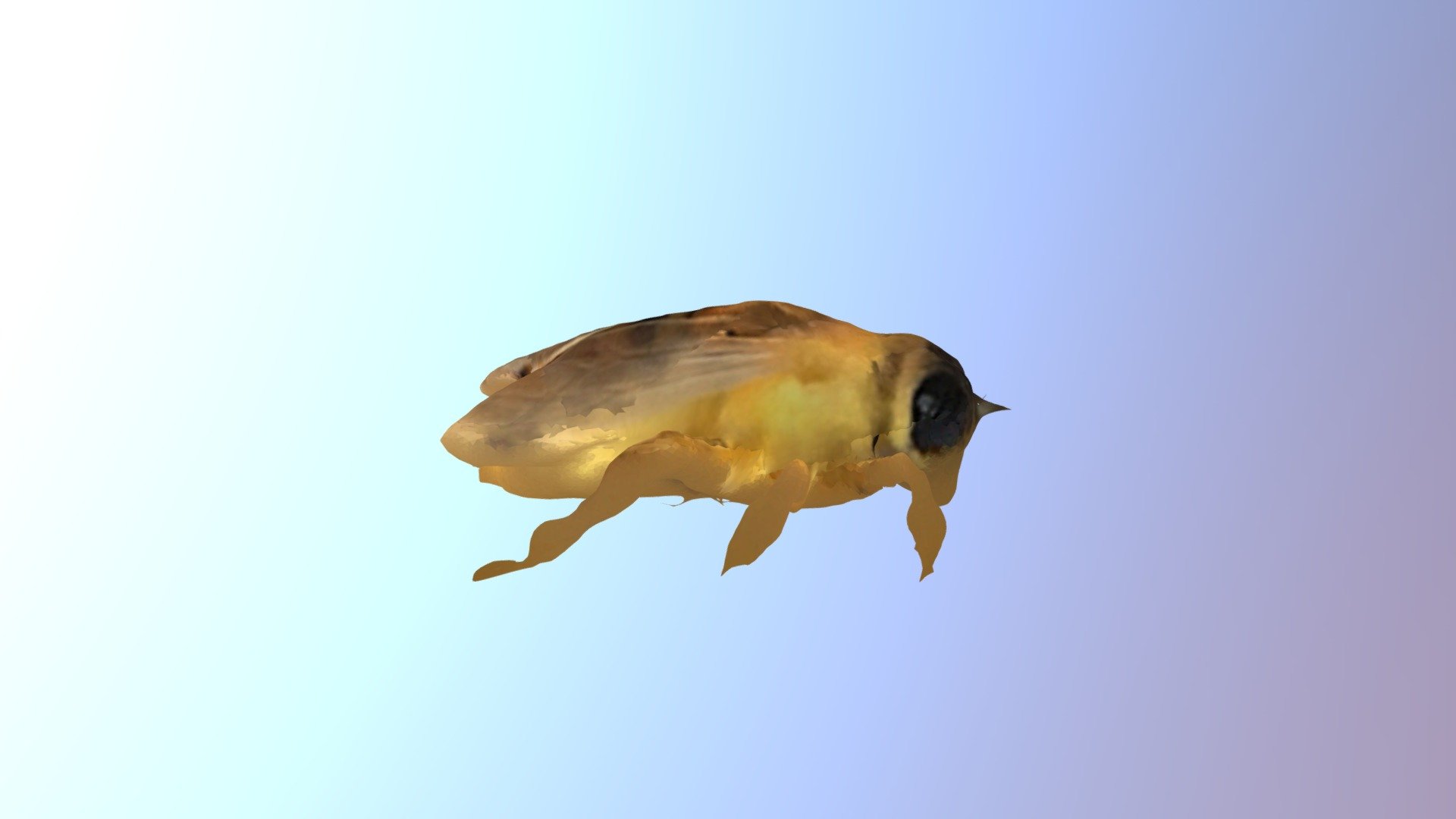 Mosca 3D