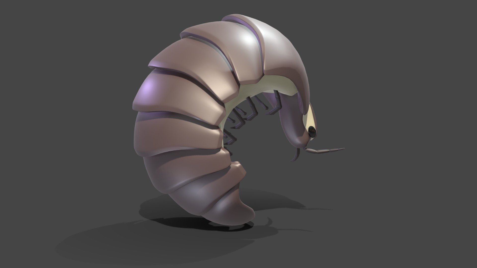 Pill Bug