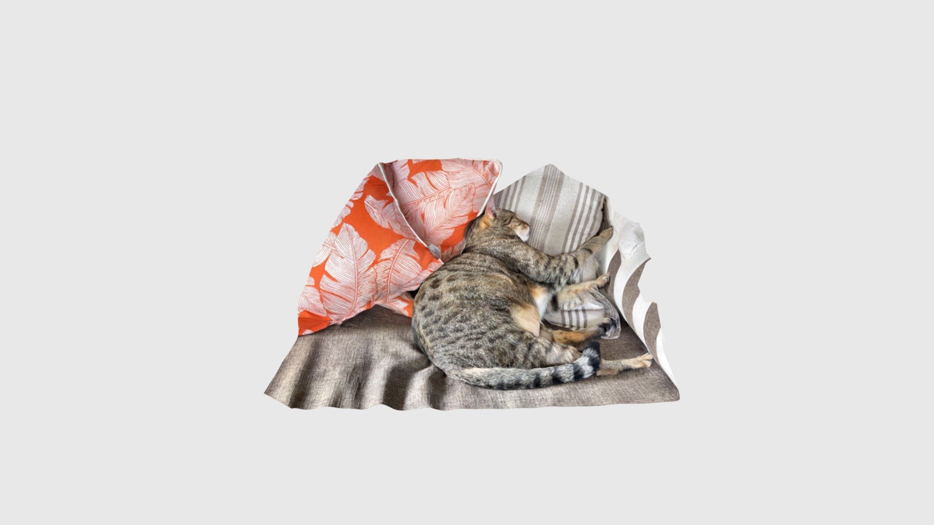 Daybed cat (scan)