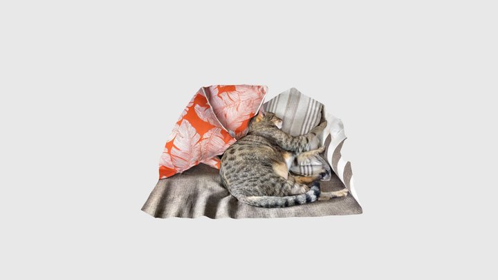 Daybed cat (scan) 3D Model