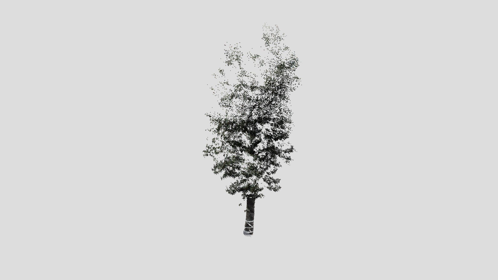 tree11-pointcloud - 3D model by Nodai_Kunii_Lab (@mmsroadsidetree ...