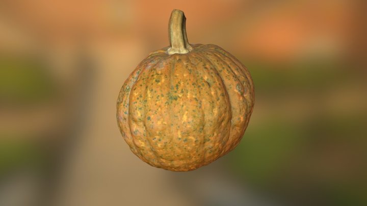 Pumpkin 3D Model