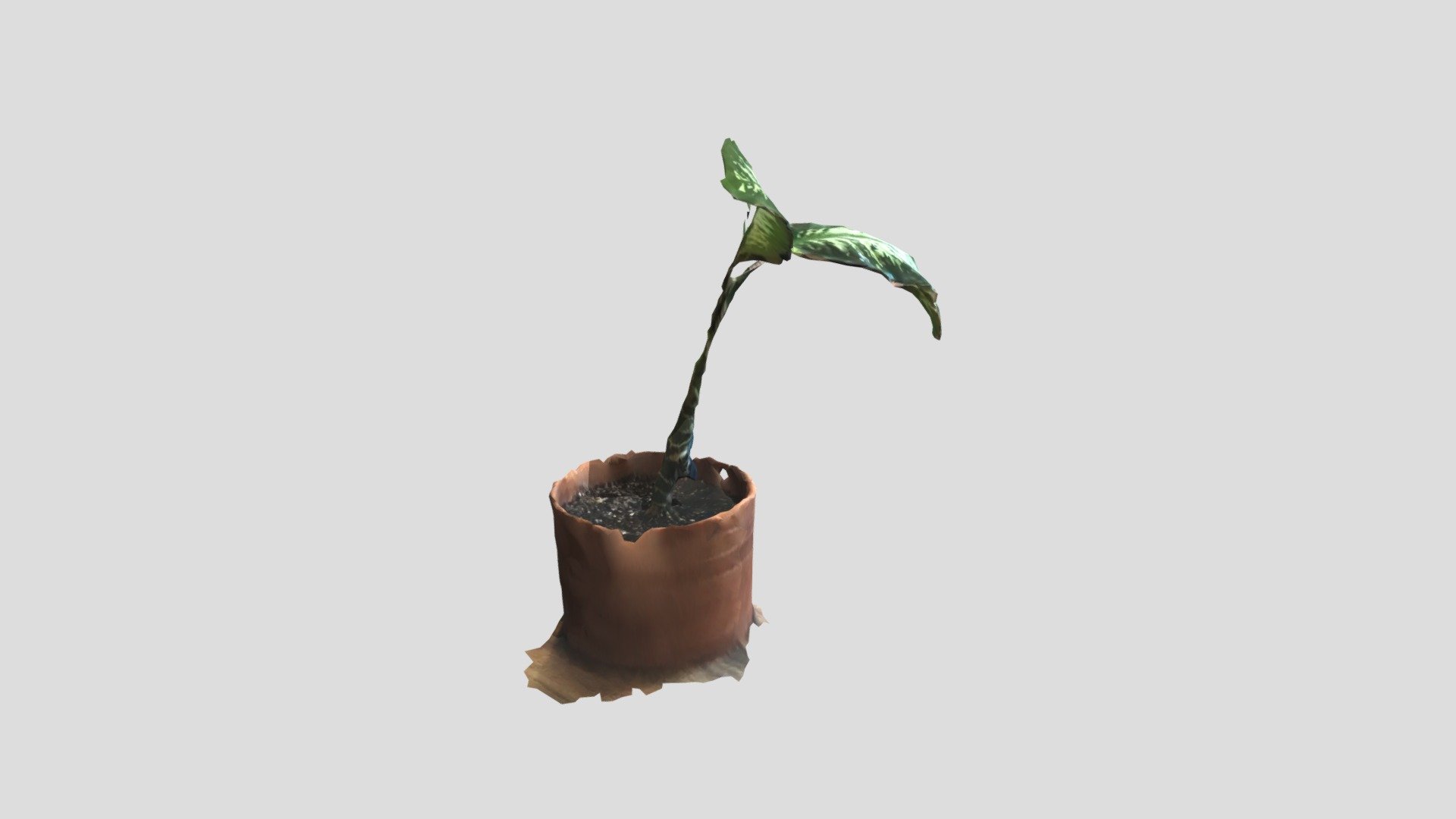 my sick plant skan 2