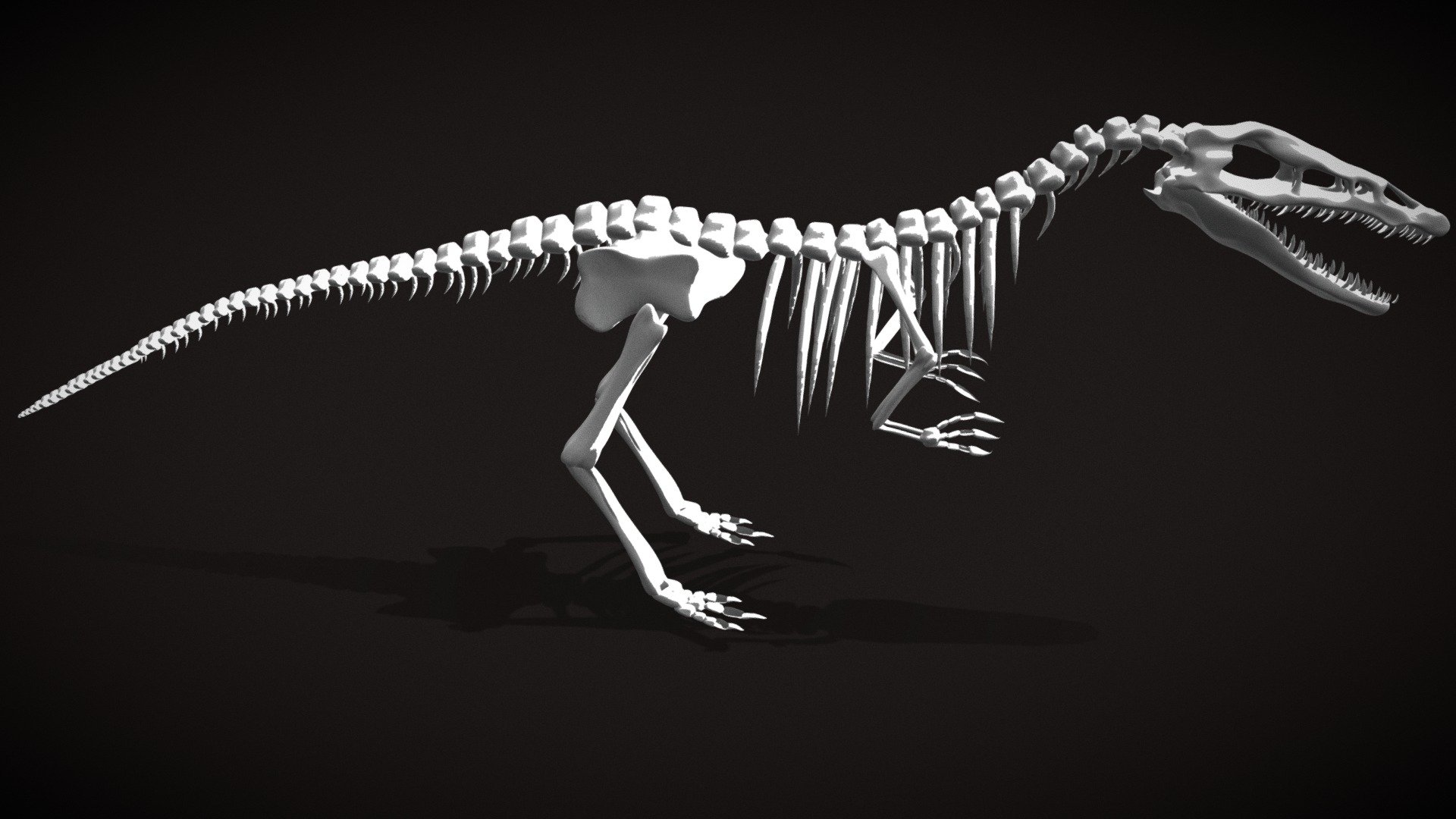 Baryonyx skeleton - 3D model by layenna [7734f40] - Sketchfab