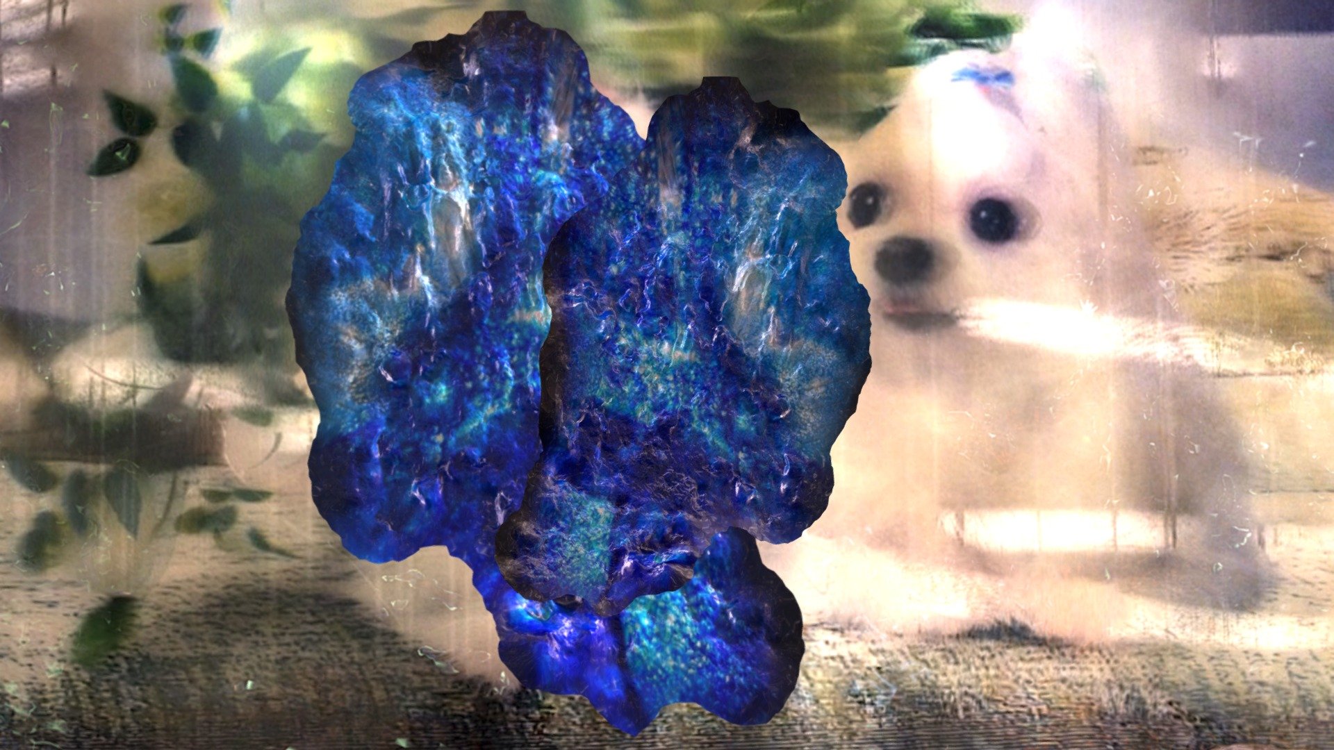 A TRNIO Model