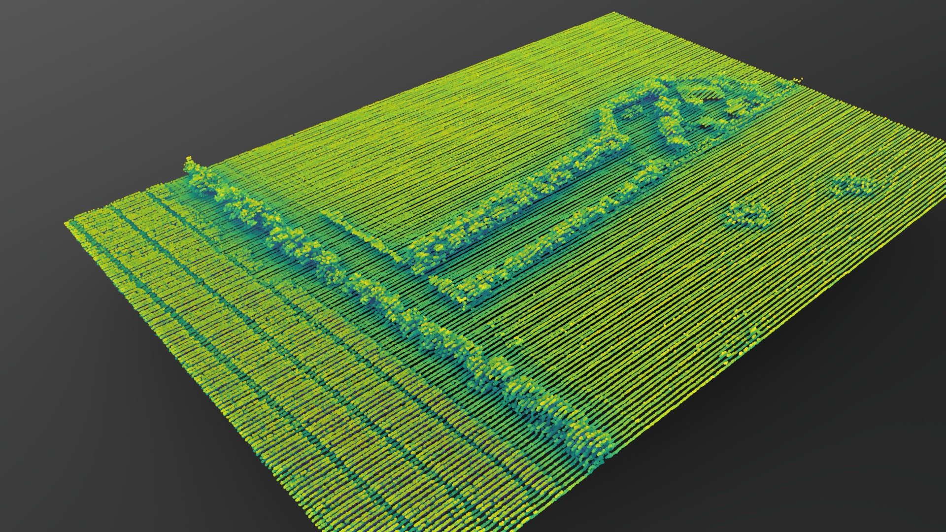 Mclaren Vale vineyards (Viridis visualisation)
