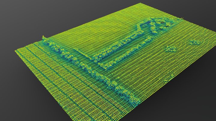 Mclaren Vale vineyards (Viridis visualisation) 3D Model