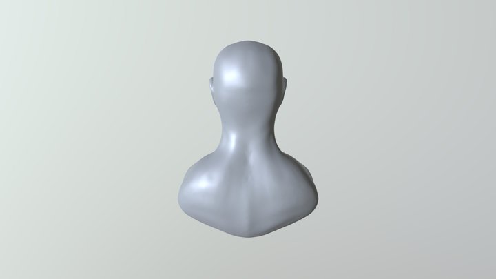 Humanoide Cabeza 3D Model