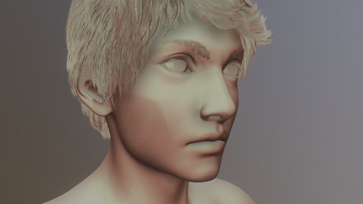 up a 3D Model