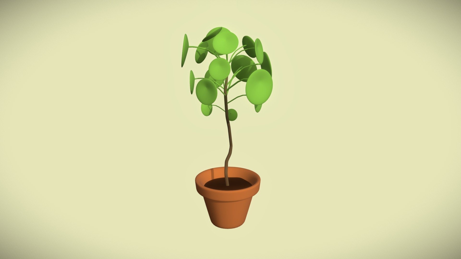 Pilea Peperomioides