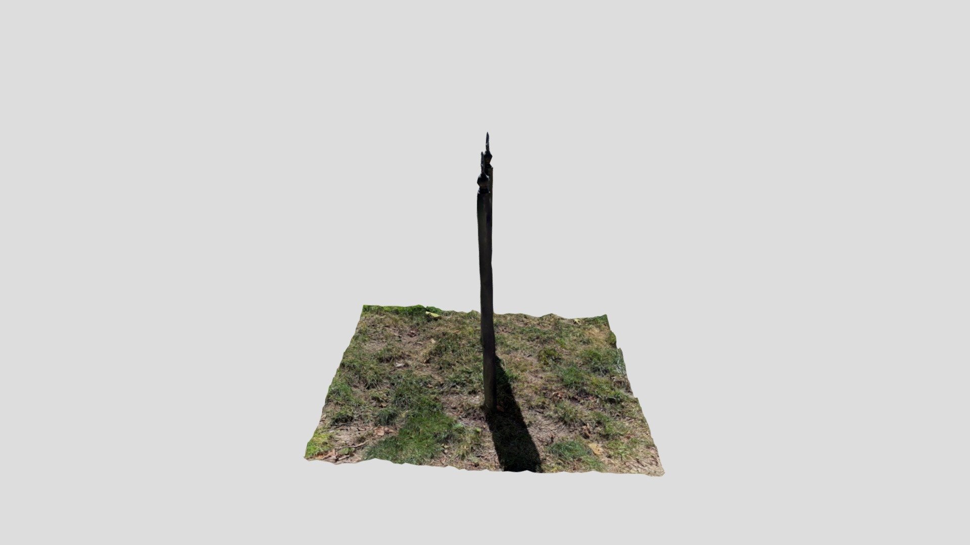 Polycam capture