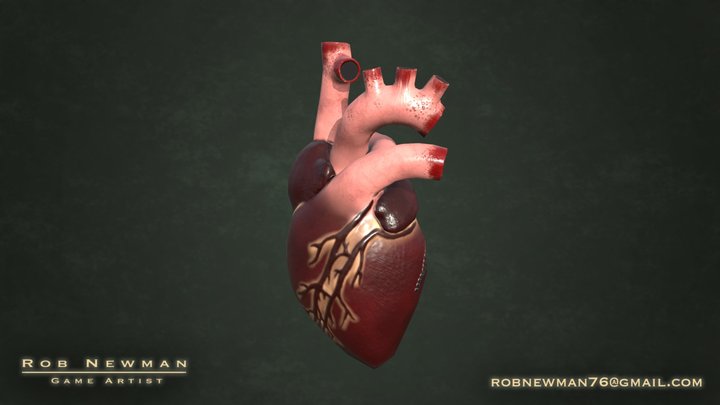 Human Heart - Textured Game Prop 3D Model