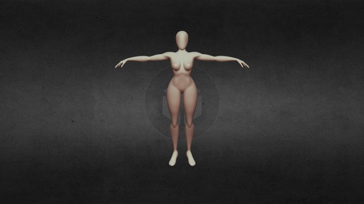 Female Basemesh 3D Model