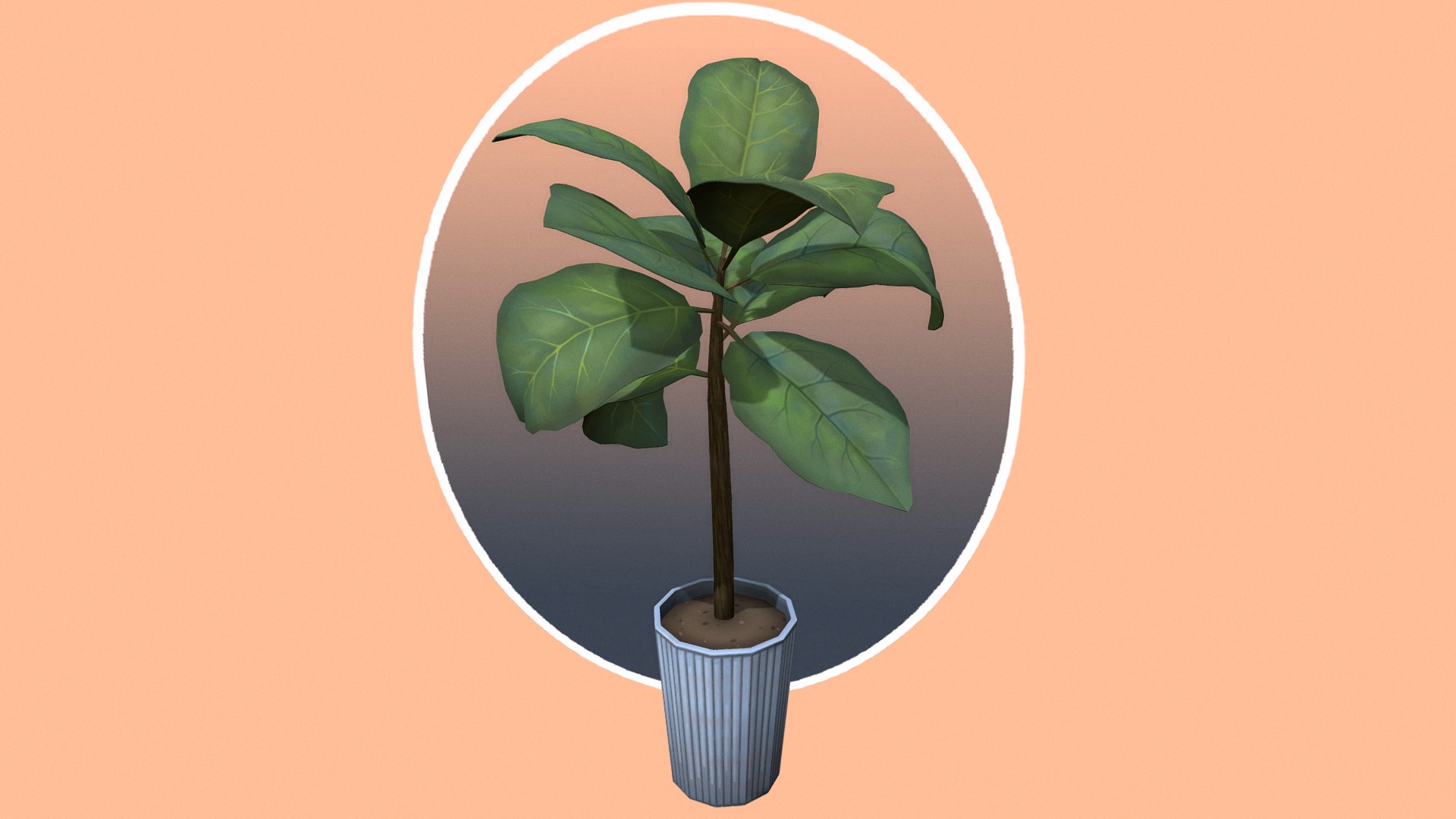 3D model Tall Large Leaf Houseplant - This is a 3D model of the Tall Large Leaf Houseplant. The 3D model is about a plant in a pot.