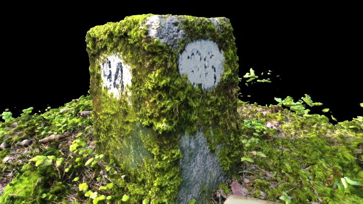 Mossy Forest Pillar Photoscan 3D Model