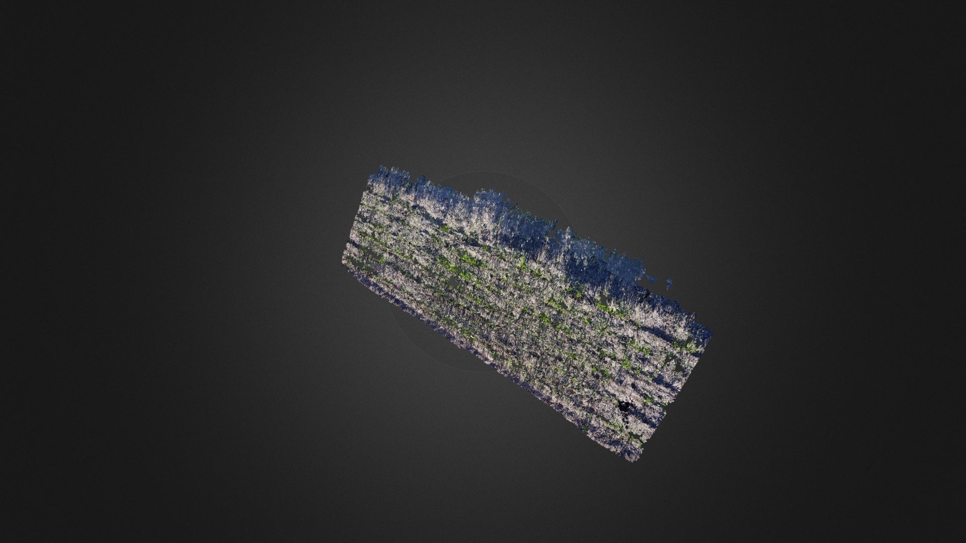 Wheat Point Cloud