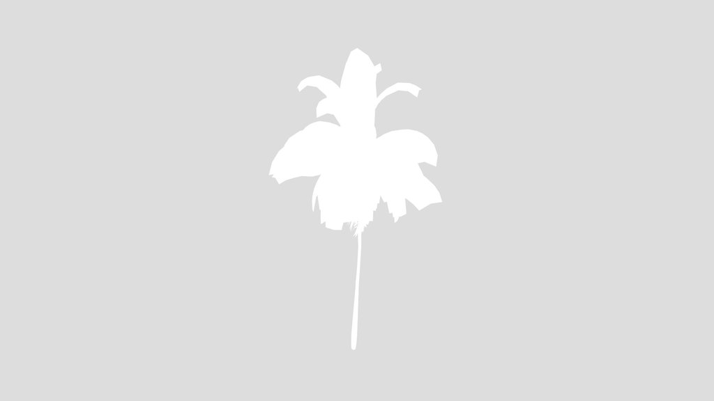 Tropical Young Palm Tree