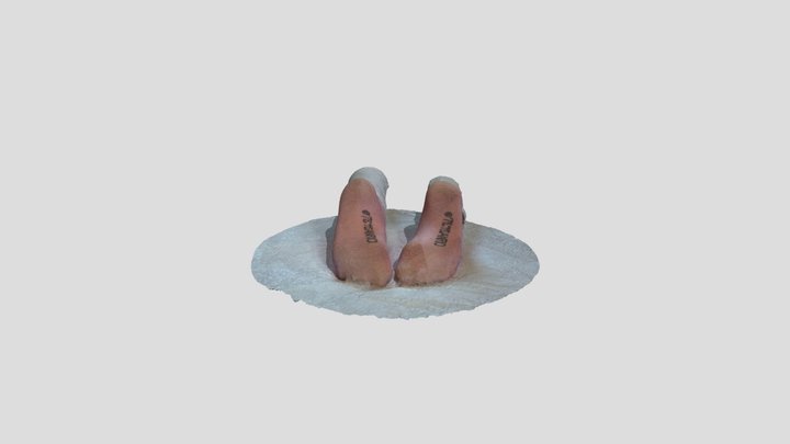 Daughter´s feet and pink socks 3D Model