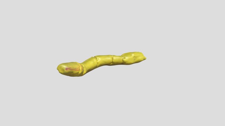 worm – Free 3D Model STL