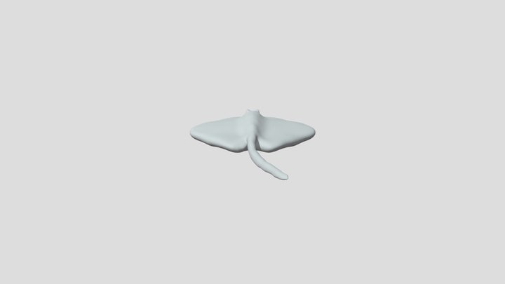Stingray 3D Model