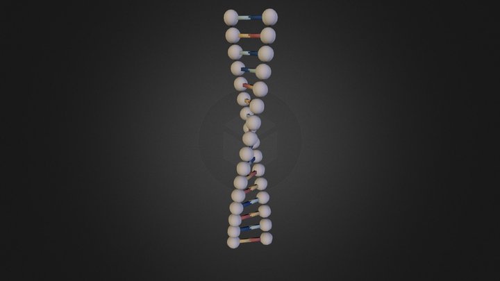 Double Helix 3D Model